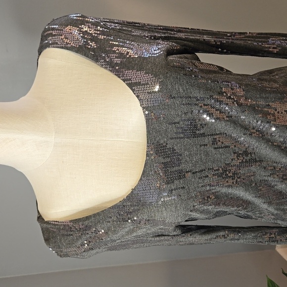 Velvet by Graham & Spencer Lined Long Sleeve Gray Sequin Party Dress Size XL - Picture 3 of 8